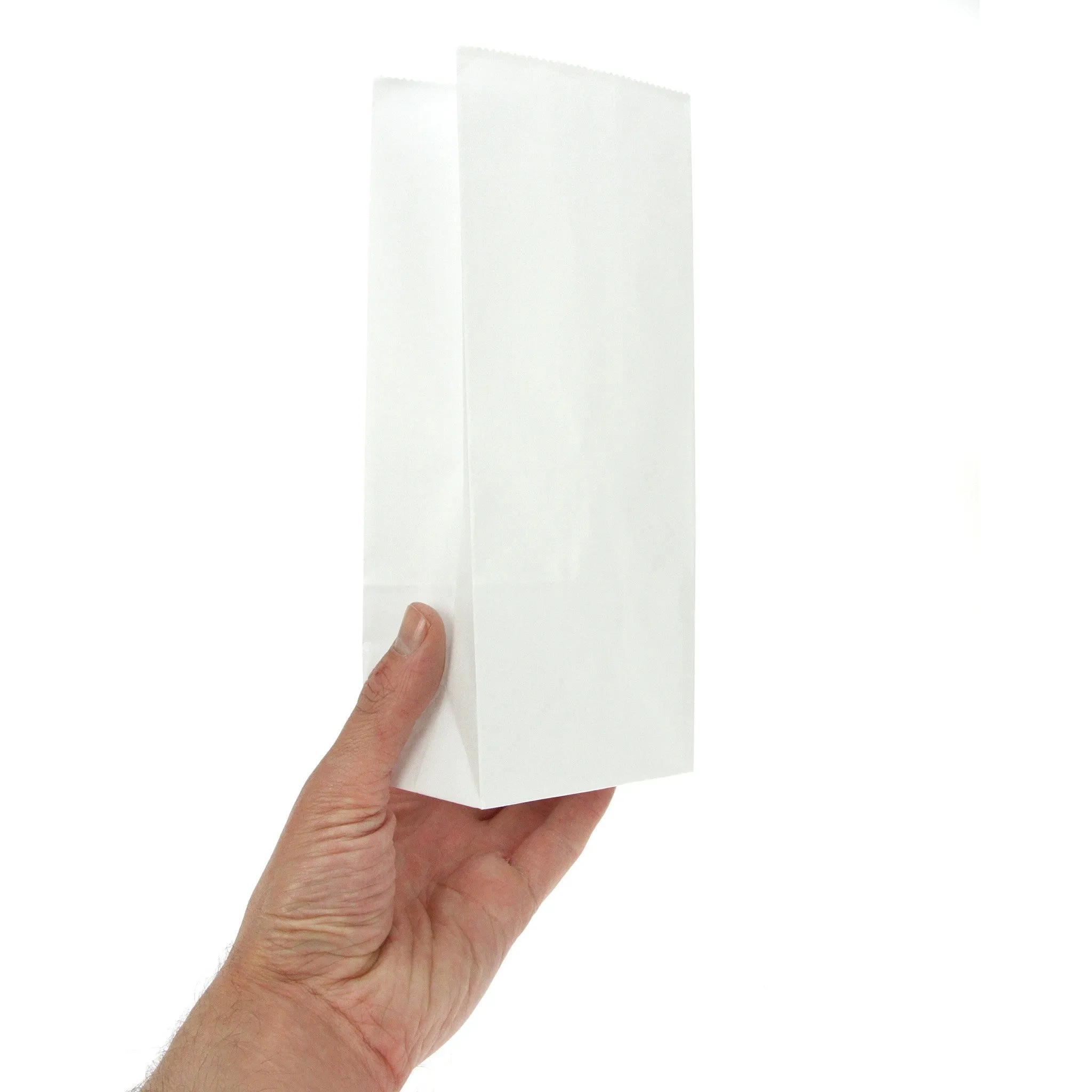 100 White Paper Bags