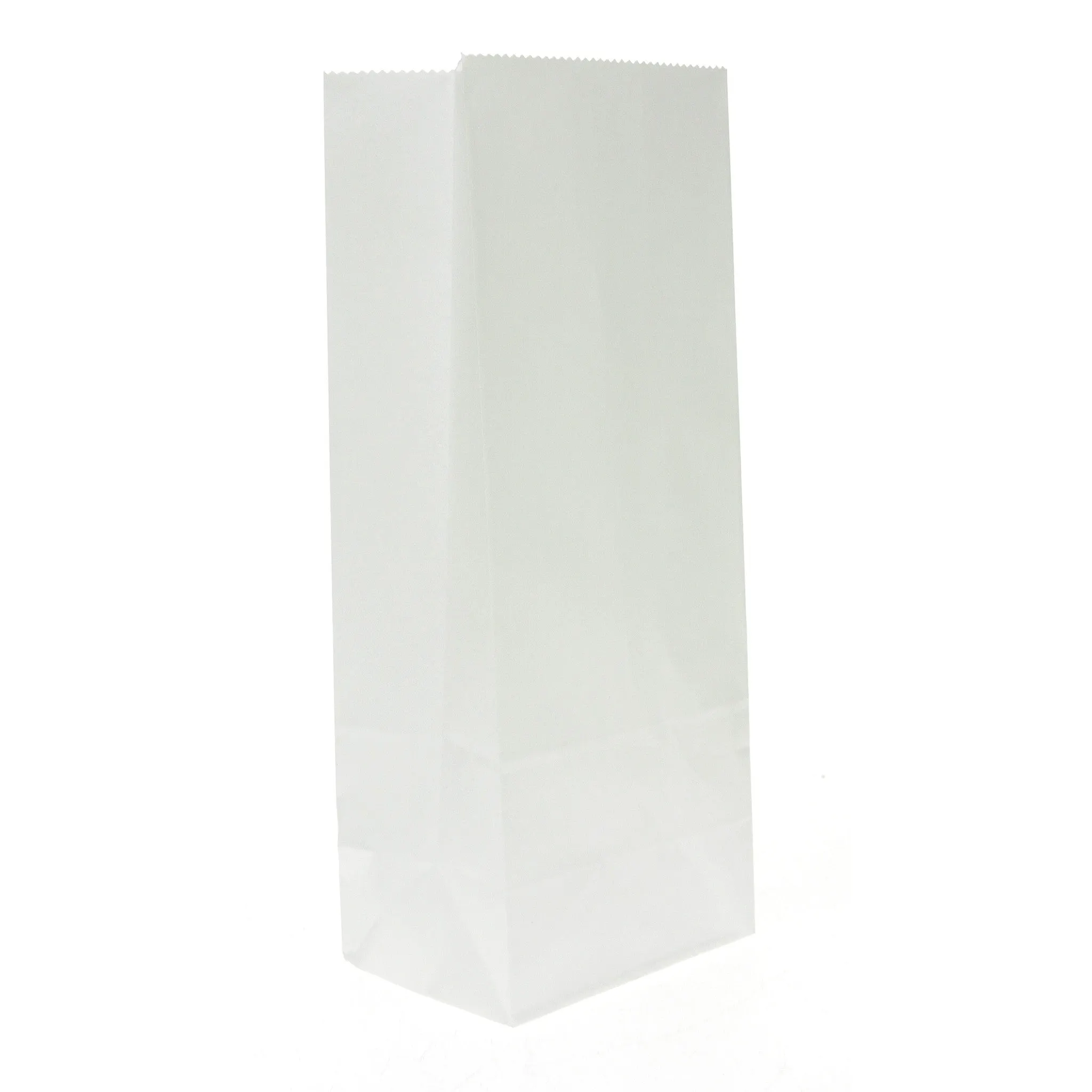 100 White Paper Bags